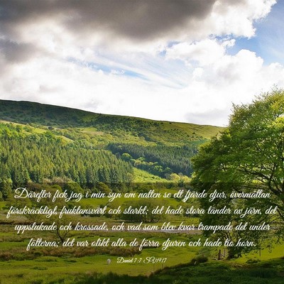 Picture 03 - Daniel 7:7 SV1917 - Därefter fick jag i min syn om natten se ett - Bible Verse Picture