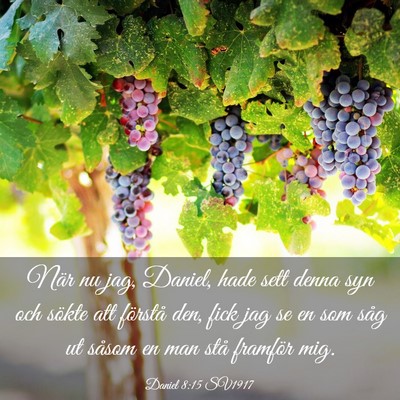 Picture 03 - Daniel 8:15 SV1917 - När nu jag, Daniel, hade sett denna syn och - Bible Verse Picture