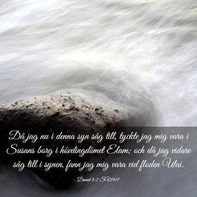 Picture 03 - Daniel 8:2 SV1917 - Då jag nu i denna syn såg till, tyckte jag mig - Bible Verse Picture