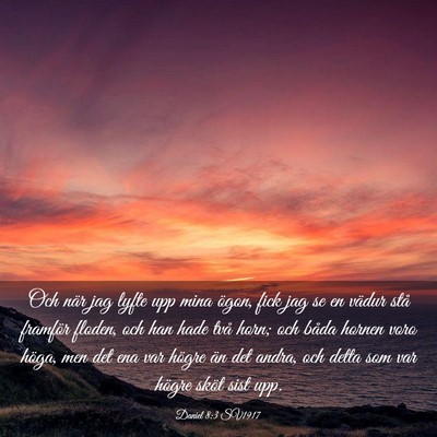 Picture 03 - Daniel 8:3 SV1917 - Och när jag lyfte upp mina ögon, fick jag se en - Bible Verse Picture