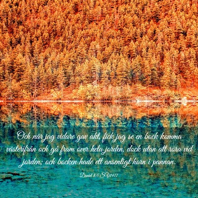Picture 03 - Daniel 8:5 SV1917 - Och när jag vidare gav akt, fick jag se en bock - Bible Verse Picture
