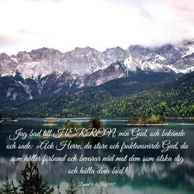 Picture 03 - Daniel 9:4 SV1917 - Jag bad till HERREN, min Gud, och bekände och - Bible Verse Picture