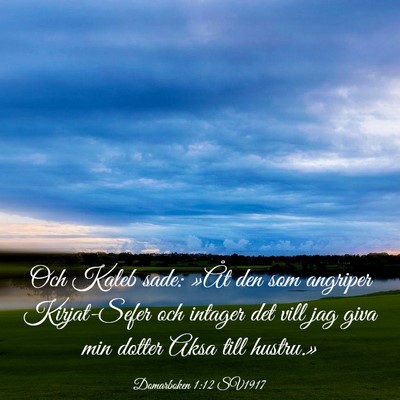 Picture 03 - Domarboken 1:12 SV1917 - Och Kaleb sade: »Åt den som angriper - Bible Verse Picture