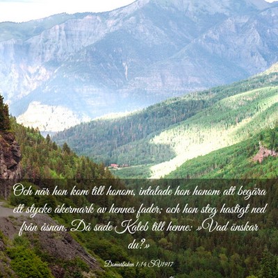 Picture 03 - Domarboken 1:14 SV1917 - Och när hon kom till honom, intalade hon honom - Bible Verse Picture