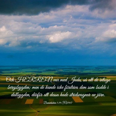 Picture 03 - Domarboken 1:19 SV1917 - Och HERREN var med Juda, så att de intogo - Bible Verse Picture