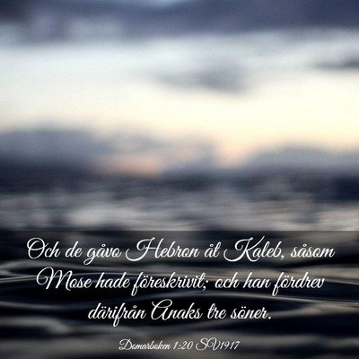 Picture 03 - Domarboken 1:20 SV1917 - Och de gåvo Hebron åt Kaleb, såsom Mose hade - Bible Verse Picture