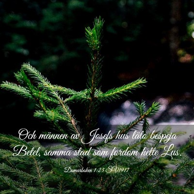 Picture 03 - Domarboken 1:23 SV1917 - Och männen av Josefs hus läto bespeja Betel, - Bible Verse Picture