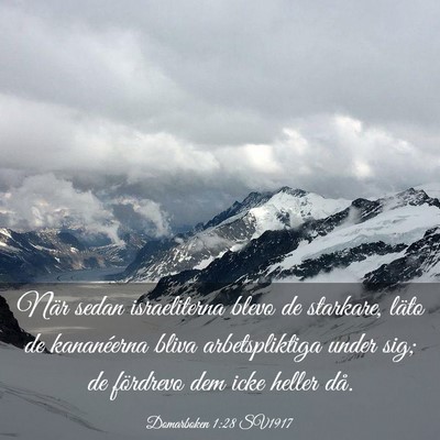 Picture 03 - Domarboken 1:28 SV1917 - När sedan israeliterna blevo de starkare, läto - Bible Verse Picture