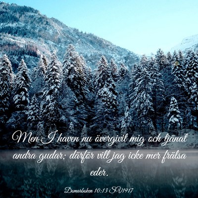 Picture 03 - Domarboken 10:13 SV1917 - Men I haven nu övergivit mig och tjänat andra - Bible Verse Picture