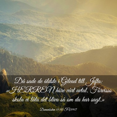Picture 03 - Domarboken 11:10 SV1917 - Då sade de äldste i Gilead till Jefta: »HERREN - Bible Verse Picture