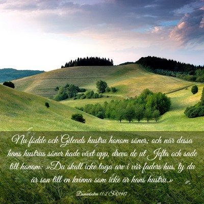Picture 03 - Domarboken 11:2 SV1917 - Nu födde ock Gileads hustru honom söner; och - Bible Verse Picture