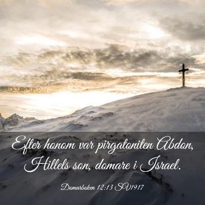 Picture 03 - Domarboken 12:13 SV1917 - Efter honom var pirgatoniten Abdon, Hillels son, - Bible Verse Picture