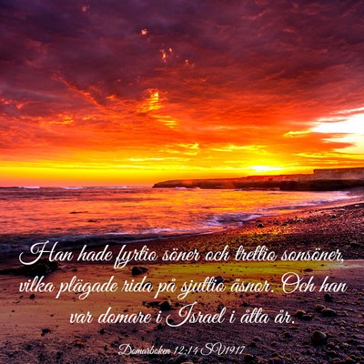 Picture 03 - Domarboken 12:14 SV1917 - Han hade fyrtio söner och trettio sonsöner, - Bible Verse Picture