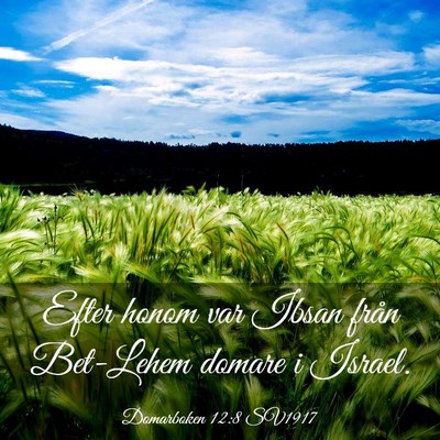 Picture 03 - Domarboken 12:8 SV1917 - Efter honom var Ibsan från Bet-Lehem domare i - Bible Verse Picture