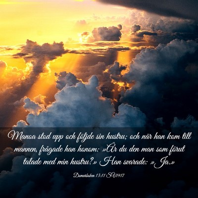 Picture 03 - Domarboken 13:11 SV1917 - Manoa stod upp och följde sin hustru; och när - Bible Verse Picture