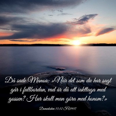 Picture 03 - Domarboken 13:12 SV1917 - Då sade Manoa: »När det som du har sagt går i - Bible Verse Picture