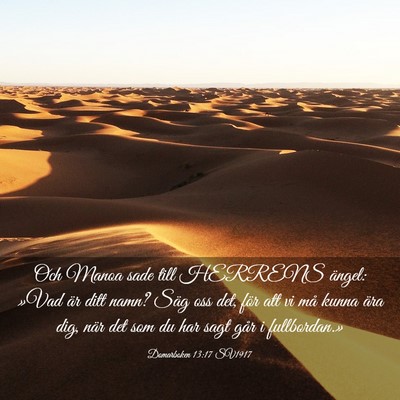 Picture 03 - Domarboken 13:17 SV1917 - Och Manoa sade till HERRENS ängel: »Vad är - Bible Verse Picture