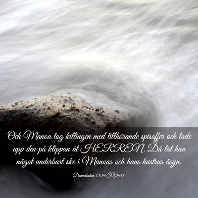 Picture 03 - Domarboken 13:19 SV1917 - Och Manoa tog killingen med tillhörande - Bible Verse Picture