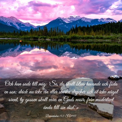Picture 03 - Domarboken 13:7 SV1917 - Och han sade till mig: 'Se, du skall bliva - Bible Verse Picture