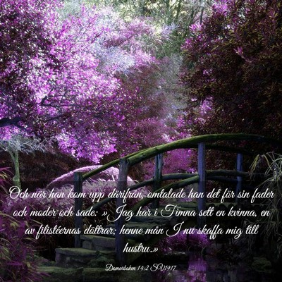 Picture 03 - Domarboken 14:2 SV1917 - Och när han kom upp därifrån, omtalade han det - Bible Verse Picture