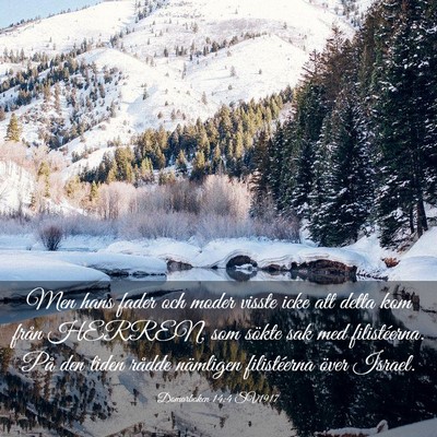 Picture 03 - Domarboken 14:4 SV1917 - Men hans fader och moder visste icke att detta - Bible Verse Picture