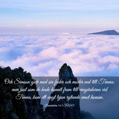 Picture 03 - Domarboken 14:5 SV1917 - Och Simson gick med sin fader och moder ned till - Bible Verse Picture
