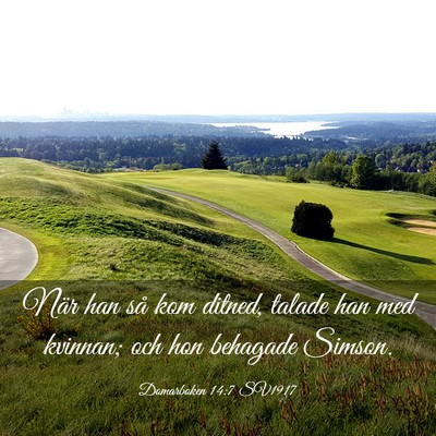 Picture 03 - Domarboken 14:7 SV1917 - När han så kom ditned, talade han med kvinnan; - Bible Verse Picture
