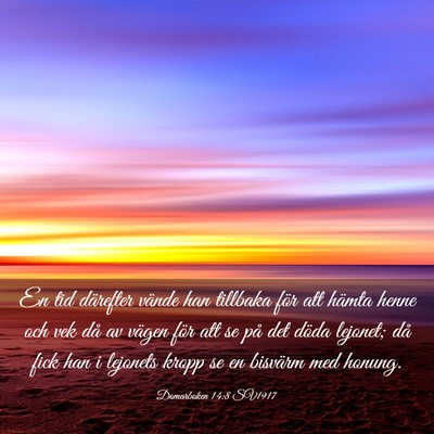 Picture 03 - Domarboken 14:8 SV1917 - En tid därefter vände han tillbaka för att - Bible Verse Picture