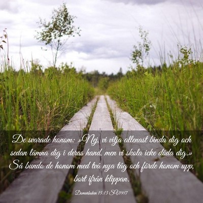 Picture 03 - Domarboken 15:13 SV1917 - De svarade honom: »Nej, vi vilja allenast binda - Bible Verse Picture