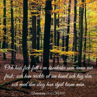 Picture 03 - Domarboken 15:15 SV1917 - Och han fick fatt i en åsnekäke som ännu var - Bible Verse Picture
