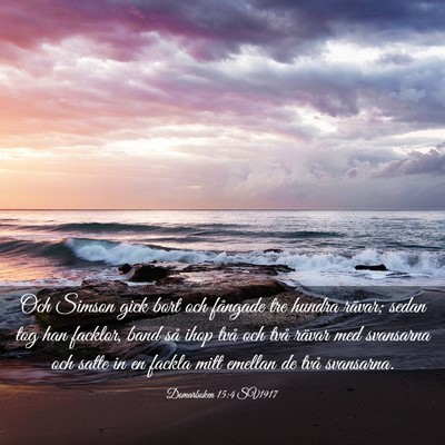 Picture 03 - Domarboken 15:4 SV1917 - Och Simson gick bort och fångade tre hundra - Bible Verse Picture