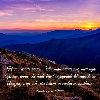 Picture 03 - Domarboken 16:11 SV1917 - Han svarade henne: »Om man bunde mig med nya - Bible Verse Picture