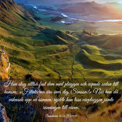 Picture 03 - Domarboken 16:14 SV1917 - Hon slog alltså fast dem med pluggen och ropade - Bible Verse Picture