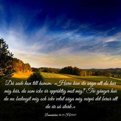 Picture 03 - Domarboken 16:15 SV1917 - Då sade hon till honom: »Huru kan du säga att - Bible Verse Picture
