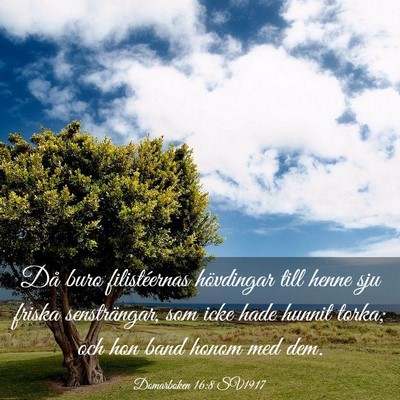 Picture 03 - Domarboken 16:8 SV1917 - Då buro filistéernas hövdingar till henne sju - Bible Verse Picture