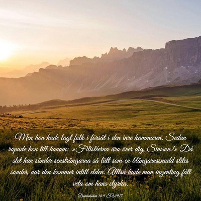 Picture 03 - Domarboken 16:9 SV1917 - Men hon hade lagt folk i försåt i den inre - Bible Verse Picture