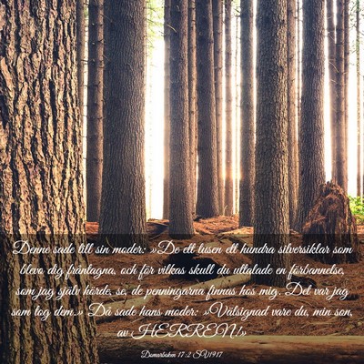 Picture 03 - Domarboken 17:2 SV1917 - Denne sade till sin moder: »De ett tusen ett - Bible Verse Picture