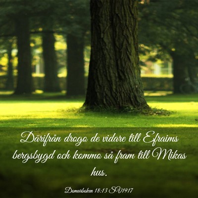 Picture 03 - Domarboken 18:13 SV1917 - Därifrån drogo de vidare till Efraims bergsbygd - Bible Verse Picture