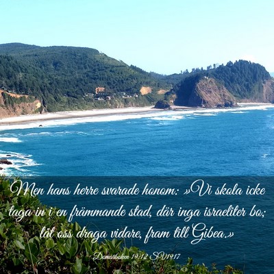 Picture 03 - Domarboken 19:12 SV1917 - Men hans herre svarade honom: »Vi skola icke - Bible Verse Picture