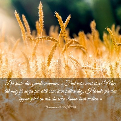 Picture 03 - Domarboken 19:20 SV1917 - Då sade den gamle mannen: »Frid vare med dig! - Bible Verse Picture