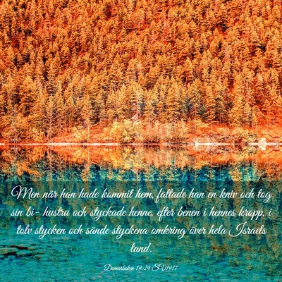 Picture 03 - Domarboken 19:29 SV1917 - Men när han hade kommit hem, fattade han en kniv - Bible Verse Picture