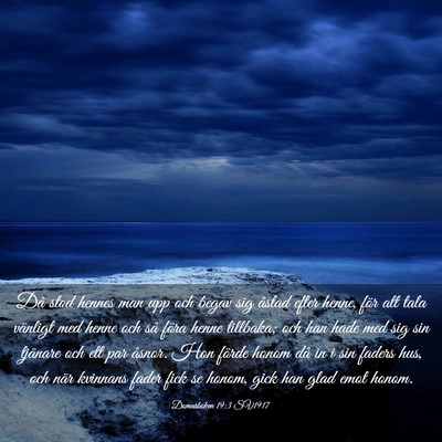 Picture 03 - Domarboken 19:3 SV1917 - Då stod hennes man upp och begav sig åstad - Bible Verse Picture