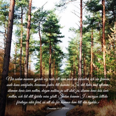 Picture 03 - Domarboken 19:9 SV1917 - När sedan mannen gjorde sig redo att resa med - Bible Verse Picture