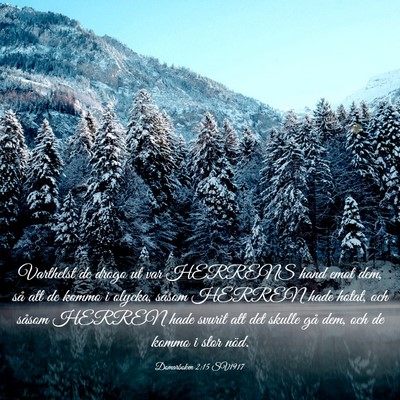 Picture 03 - Domarboken 2:15 SV1917 - Varthelst de drogo ut var HERRENS hand emot dem, - Bible Verse Picture