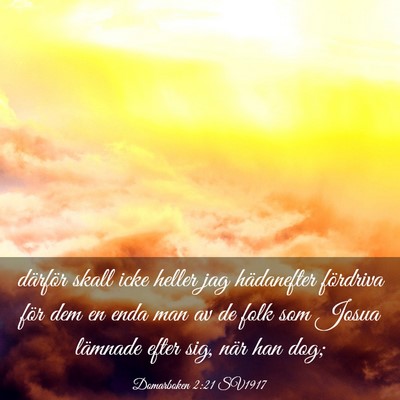 Picture 03 - Domarboken 2:21 SV1917 - därför skall icke heller jag hädanefter - Bible Verse Picture