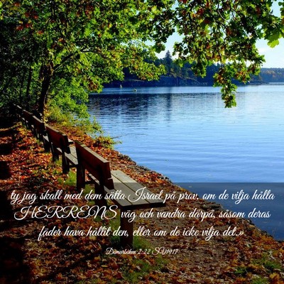 Picture 03 - Domarboken 2:22 SV1917 - ty jag skall med dem sätta Israel på prov, om - Bible Verse Picture