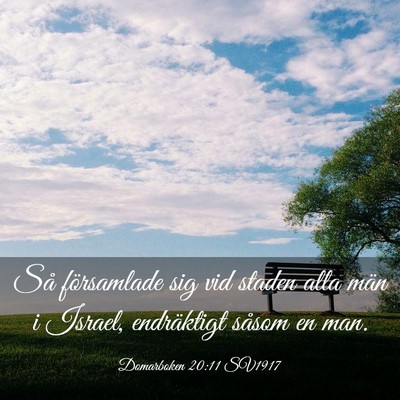 Picture 03 - Domarboken 20:11 SV1917 - Så församlade sig vid staden alla män i - Bible Verse Picture
