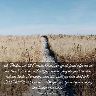 Picture 03 - Domarboken 20:28 SV1917 - och Pinehas, son till Eleasar, Arons son, gjorde - Bible Verse Picture