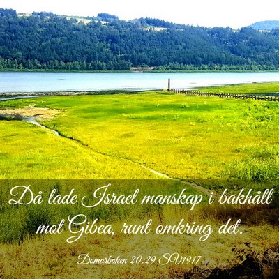 Picture 03 - Domarboken 20:29 SV1917 - Då lade Israel manskap i bakhåll mot Gibea, - Bible Verse Picture
