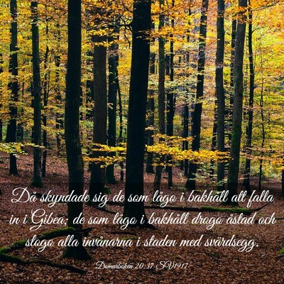 Picture 03 - Domarboken 20:37 SV1917 - Då skyndade sig de som lågo i bakhåll att - Bible Verse Picture